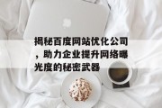 揭秘百度网站优化公司,助力企业提升网络曝光度的秘密武器 揭秘百度网站优化公司,助力企业提升网络曝光度的秘密武器