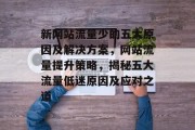 新网站流量少的五大原因及解决方案，网站流量提升策略，揭秘五大流量低迷原因及应对之道