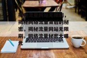 揭秘流量网站无限刷，揭秘网络流量背后的秘密，揭秘流量网站无限刷，网络流量秘密大曝光