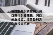 洞口创业投资指南,洞口做什么能赚钱,洞口创业投资,探索盈利方向与投资机会 洞口创业投资指南,洞口做什么能赚钱,洞口创业投资,探索盈利方向与投资机会