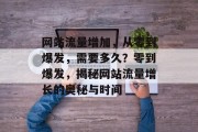 网站流量增加，从零到爆发，需要多久？零到爆发，揭秘网站流量增长的奥秘与时间