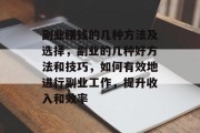 副业赚钱的几种方法及选择,副业的几种好方法和技巧,如何有效地进行副业工作,提升收入和效率 副业赚钱的几种方法及选择,副业的几种好方法和技巧,如何有效地进行副业工作,提升收入和效率