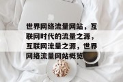 世界网络流量网站，互联网时代的流量之源，互联网流量之源，世界网络流量网站概览