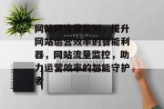网站网流量监测，提升网站运营效率的智能利器，网站流量监控，助力运营效率的智能守护者