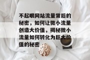不起眼网站流量背后的秘密，如何让微小流量创造大价值，揭秘微小流量如何转化为巨大价值的秘密