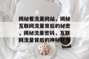 揭秘看流量网站，揭秘互联网流量背后的秘密，揭秘流量密码，互联网流量背后的神秘世界