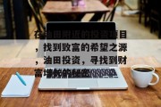 在油田附近的投资项目，找到致富的希望之源，油田投资，寻找到财富增长的秘密