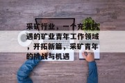 采矿行业,一个充满机遇的矿业青年工作领域,开拓新篇,采矿青年的挑战与机遇 采矿行业,一个充满机遇的矿业青年工作领域,开拓新篇,采矿青年的挑战与机遇