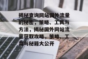 揭秘查询网站国外流量的秘密，策略、工具与方法，揭秘国外网站流量获取攻略，策略、工具与秘籍大公开