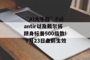 “AI大牛股”Palantir以及戴尔将跻身标普500指数! 9月23日盘前生效 “AI大牛股”Palantir以及戴尔将跻身标普500指数! 9月23日盘前生效