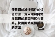 使用网站减慢插件的优化方法，深入理解网站加载慢的原因与优化策略，使用网站减慢插件的方法