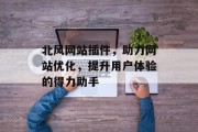 北风网站插件,助力网站优化,提升用户体验的得力助手 北风网站插件,助力网站优化,提升用户体验的得力助手