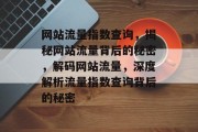 网站流量指数查询，揭秘网站流量背后的秘密，解码网站流量，深度解析流量指数查询背后的秘密