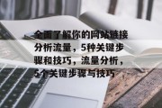 全面了解你的网站链接分析流量,5种关键步骤和技巧,流量分析,5个关键步骤与技巧 全面了解你的网站链接分析流量,5种关键步骤和技巧,流量分析,5个关键步骤与技巧