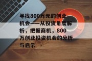 寻找800万元的创业机会——从投资角度解析，把握商机，800万创业投资机会的分析与启示