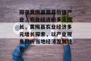 探寻黄梅县最具价值产业,农业经济的多元增长,黄梅县农业经济多元增长探索,以产业视角剖析当地经济发展特色 探寻黄梅县最具价值产业,农业经济的多元增长,黄梅县农业经济多元增长探索,以产业视角剖析当地经济发展特色
