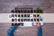 株洲各行各业的发展状况与未来展望,株洲,各行各业的快速发展与未来展望 株洲各行各业的发展状况与未来展望,株洲,各行各业的快速发展与未来展望