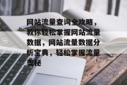 网站流量查询全攻略，教你轻松掌握网站流量数据，网站流量数据分析宝典，轻松掌握流量奥秘