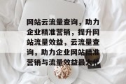 网站云流量查询，助力企业精准营销，提升网站流量效益，云流量查询，助力企业网站精准营销与流量效益最大化
