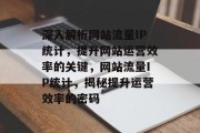 深入解析网站流量IP统计，提升网站运营效率的关键，网站流量IP统计，揭秘提升运营效率的密码
