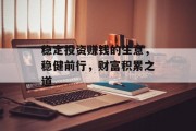 稳定投资赚钱的生意,稳健前行,财富积累之道 稳定投资赚钱的生意,稳健前行,财富积累之道