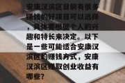 安康汉滨区目前有很多赚钱的好项目可以选择，具体要根据个人的兴趣和特长来决定。以下是一些可能适合安康汉滨区的赚钱方式，安康汉滨区赚取创业收益有哪些？