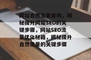网站自然流量查询，揭秘提升网站SEO的关键步骤，网站SEO流量优化秘籍，揭秘提升自然流量的关键步骤