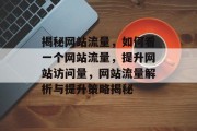 揭秘网站流量，如何看一个网站流量，提升网站访问量，网站流量解析与提升策略揭秘