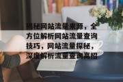 揭秘网站流量来源，全方位解析网站流量查询技巧，网站流量探秘，深度解析流量查询高招