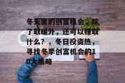 冬天里的创富机会,除了取暖外,还可以赚取什么?,冬日投资热,寻找冬季创富机会的10大策略 冬天里的创富机会,除了取暖外,还可以赚取什么?,冬日投资热,寻找冬季创富机会的10大策略
