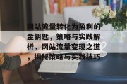 网站流量转化为盈利的金钥匙，策略与实践解析，网站流量变现之道，揭秘策略与实践技巧