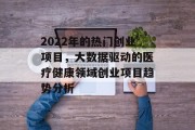 2022年的热门创业项目,大数据驱动的医疗健康领域创业项目趋势分析 2022年的热门创业项目,大数据驱动的医疗健康领域创业项目趋势分析