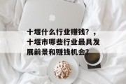 十堰什么行业赚钱?,十堰市哪些行业最具发展前景和赚钱机会? 十堰什么行业赚钱?,十堰市哪些行业最具发展前景和赚钱机会?