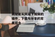 揭秘能从网站下视频的插件,下载与分享的完美结合 揭秘能从网站下视频的插件,下载与分享的完美结合