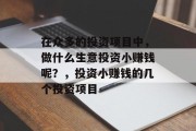 在众多的投资项目中,做什么生意投资小赚钱呢?,投资小赚钱的几个投资项目