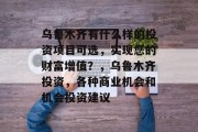 乌鲁木齐有什么样的投资项目可选,实现您的财富增值?,乌鲁木齐投资,各种商业机会和机会投资建议 乌鲁木齐有什么样的投资项目可选,实现您的财富增值?,乌鲁木齐投资,各种商业机会和机会投资建议