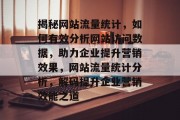 揭秘网站流量统计，如何有效分析网站访问数据，助力企业提升营销效果，网站流量统计分析，解码提升企业营销效能之道