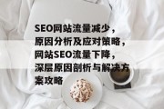 SEO网站流量减少，原因分析及应对策略，网站SEO流量下降，深层原因剖析与解决方案攻略