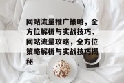 网站流量推广策略，全方位解析与实战技巧，网站流量攻略，全方位策略解析与实战技巧揭秘