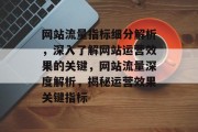 网站流量指标细分解析，深入了解网站运营效果的关键，网站流量深度解析，揭秘运营效果关键指标