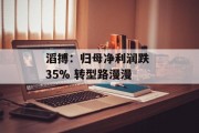 滔搏:归母净利润跌 35% 转型路漫漫 滔搏:归母净利润跌 35% 转型路漫漫