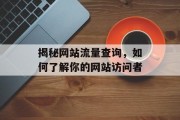 揭秘网站流量查询,如何了解你的网站访问者 揭秘网站流量查询,如何了解你的网站访问者