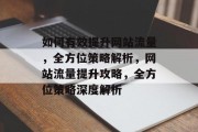 如何有效提升网站流量，全方位策略解析，网站流量提升攻略，全方位策略深度解析