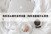 淘系怎么提升自然流量（淘系流量是什么意思）