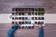 深度解析京东网站流量优化策略，助力电商巨头持续增长，京东流量优化策略揭秘，电商巨头增长动力解析