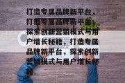 打造专属品牌新平台，打造专属品牌新平台，探索创新营销模式与用户增长秘籍，打造专属品牌新平台，探索创新营销模式与用户增长秘籍