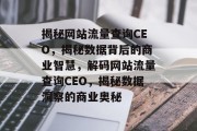 揭秘网站流量查询CEO，揭秘数据背后的商业智慧，解码网站流量查询CEO，揭秘数据洞察的商业奥秘