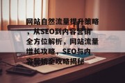网站自然流量提升策略，从SEO到内容营销全方位解析，网站流量增长攻略，SEO与内容营销全攻略揭秘
