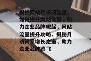 揭秘网站月访问流量，如何提升网站流量，助力企业品牌崛起，网站流量提升攻略，揭秘月访问量增长之道，助力企业品牌腾飞