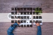 深入解析查询网站流量情况，掌握流量数据，助力网站优化，流量数据深度解析，助力网站优化与增长策略